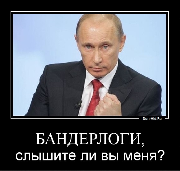Putin 2013