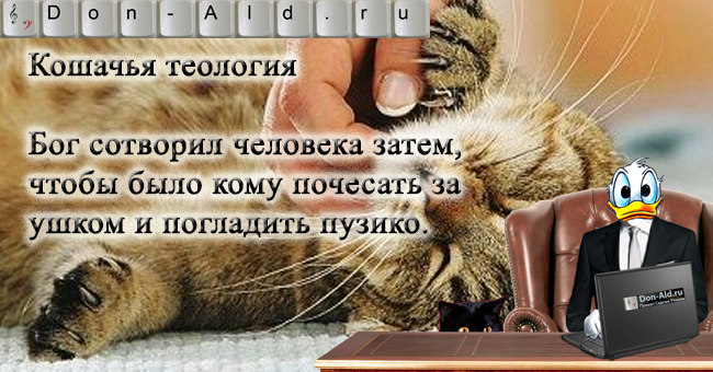 Кошачья теология