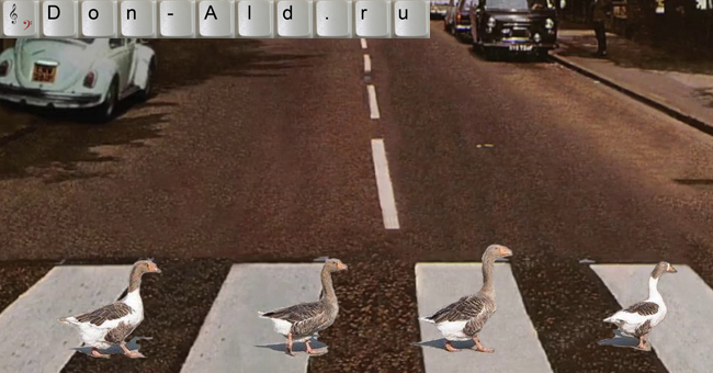 Duck Road