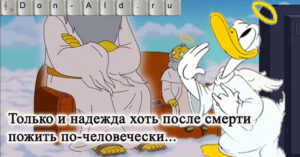 Жизнеутверждающее