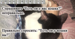 Грамматическое