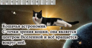 Кошачья астрономия