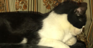 23 ноября 2025 года