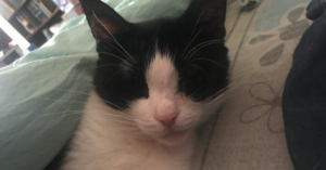 12 марта 2026 года