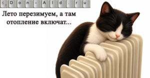 Летнее